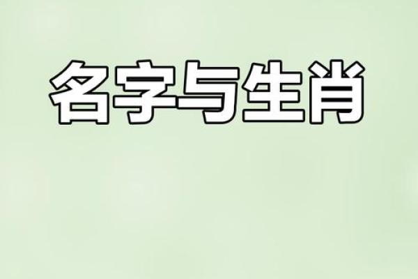 怎样给属猴辰时出生的男孩起名字姓名