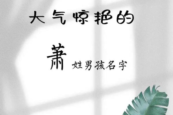 萧姓女孩名字大全-萧姓女孩起名字大全-萧姓名字大全姓名