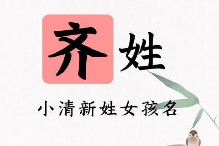 齐姓女孩名字大全-齐姓女孩起名字大全-齐姓名字大全姓名
