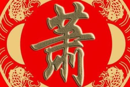 萧姓女孩名字大全-萧姓女孩起名字大全-萧姓名字大全姓名