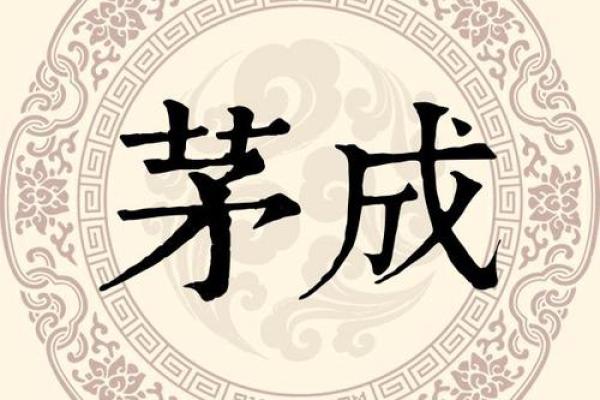 茅姓女孩名字大全-茅姓女孩起名字大全-茅姓名字大全姓名