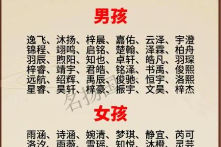 2019年6月8号丑时出生的男孩起名方法姓名