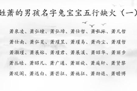 2019年3月16号子时出生的男孩如何起名姓名