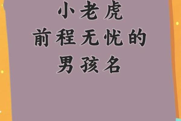 下午4点出生的属虎男孩起什么名，适合什么字姓名