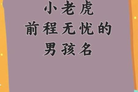 下午4点出生的属虎男孩起什么名，适合什么字姓名