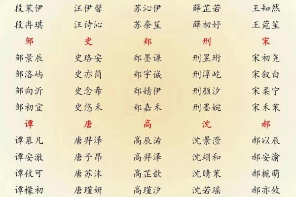 2019年3月31号辛时出生的男孩要怎么起名字姓名