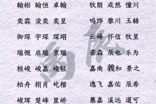 2019年4月26号丑时出生的男孩起名方法姓名
