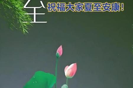 2021年夏至出生的男孩缺土取名大全,响亮大气姓名