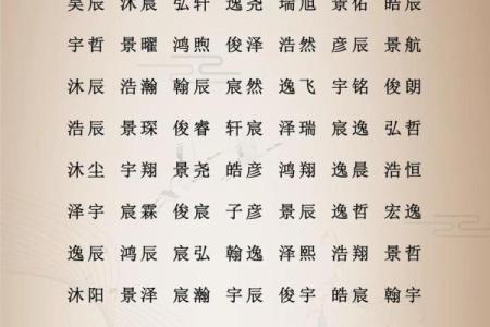 属猪辰时出生的男孩如何取名字，宜用什么字姓名