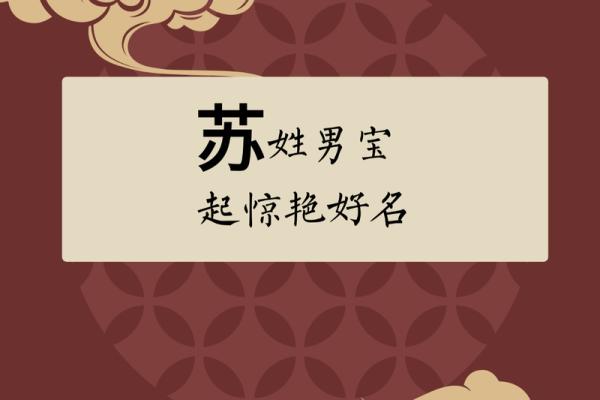 苏姓男孩名字大全-苏姓男孩起名字大全-苏姓名字大全姓名
