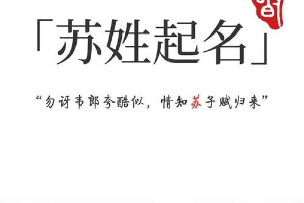 苏姓男孩名字大全-苏姓男孩起名字大全-苏姓名字大全姓名