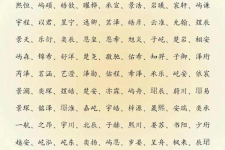 2019年5月14号丑时出生的男孩起名时要注意什么姓名