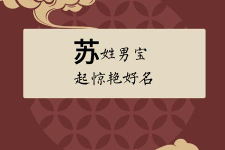 苏姓男孩名字大全-苏姓男孩起名字大全-苏姓名字大全姓名
