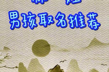 2019年4月19号丑时出生的男孩如何起名姓名