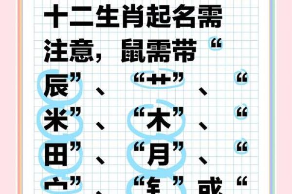 生肖起名需要注意什么-姓名学-华易网姓名