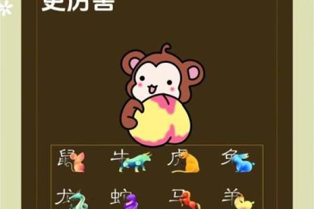 什么字给晚上12点出生的属猴男孩起名合适姓名