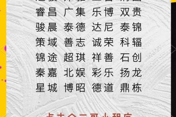 网络公司名字大全-名字大全姓名