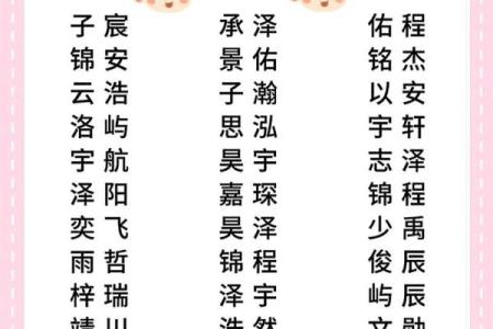 2019年4月18号寅时出生的男孩应该起什么样的名字姓名