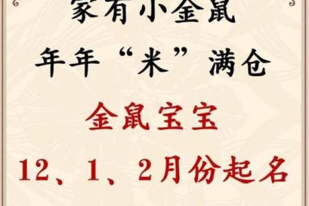 什么字适合给晚上11点出生的属鼠男孩起名姓名