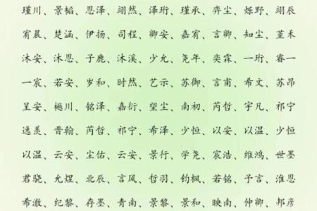 2019年6月16号寅时出生的男孩起名方法姓名