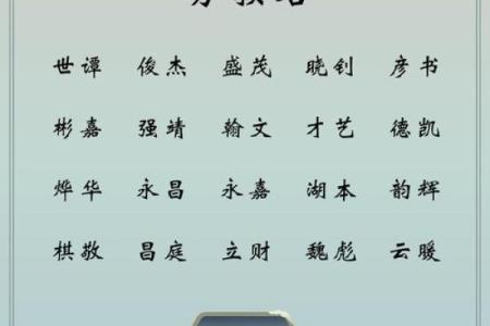 2019年5月23号子时出生的男孩起名时要注意什么姓名