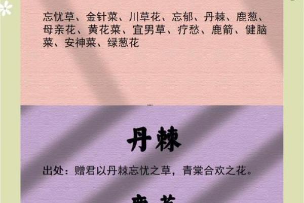 花姓男孩名字大全-花姓男孩起名字大全-花姓名字大全姓名