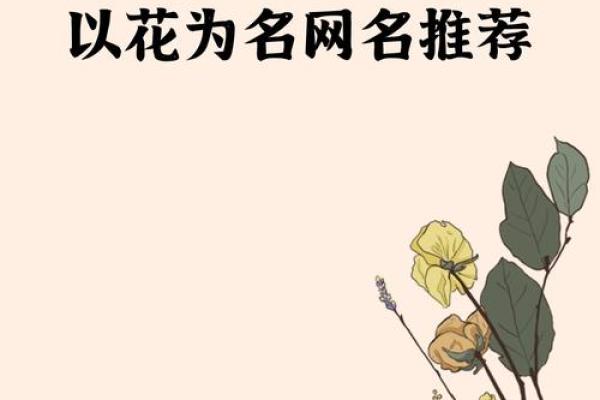花姓男孩名字大全-花姓男孩起名字大全-花姓名字大全姓名