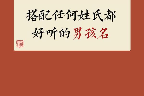2019年4月25号卯时出生的男孩起名时要注意什么姓名
