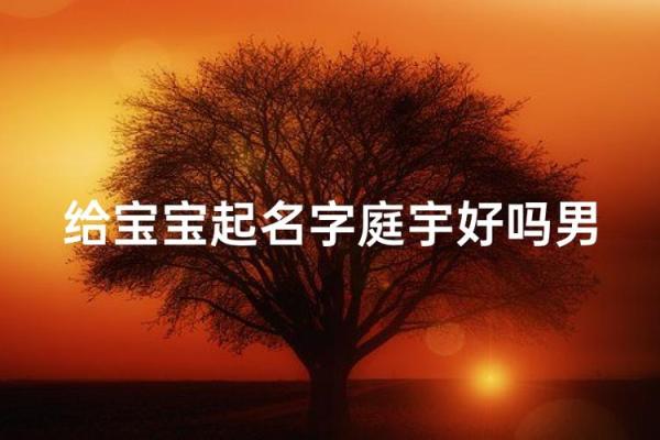 晚上出生的属狗男孩如何取名，应用什么字姓名