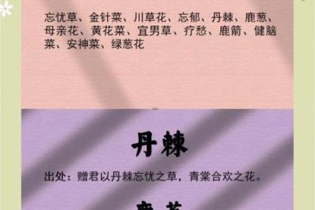 花姓男孩名字大全-花姓男孩起名字大全-花姓名字大全姓名