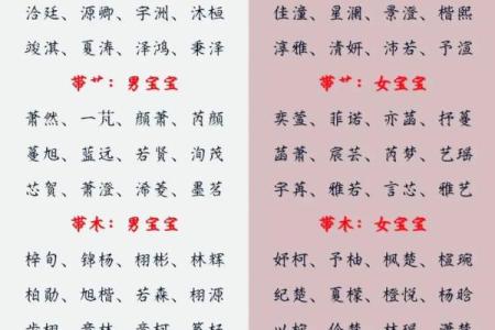 如何给亥时出生的属兔男孩起名最好姓名