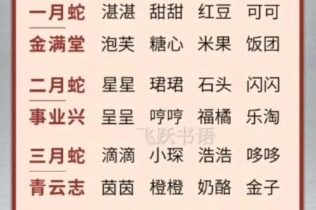 晚上1点出生的属蛇男孩如何起名，宜用什么字姓名