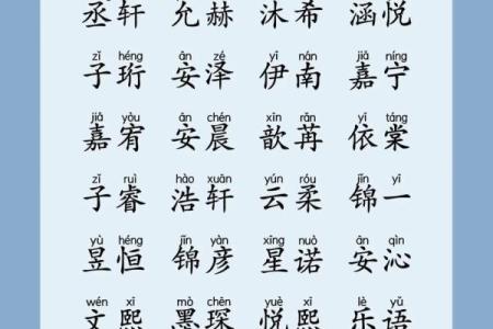 2019年5月11号丑时出生的男孩要怎么起名字姓名