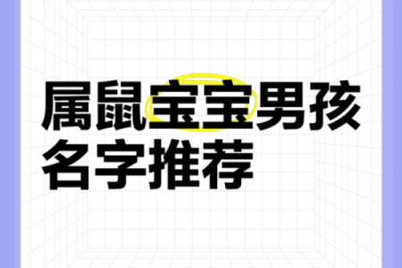 要怎么给晚上12点出生的属鼠男孩起名合适姓名