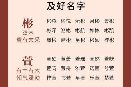 凌晨5点出生的属蛇男孩怎样起名，宜用什么字姓名