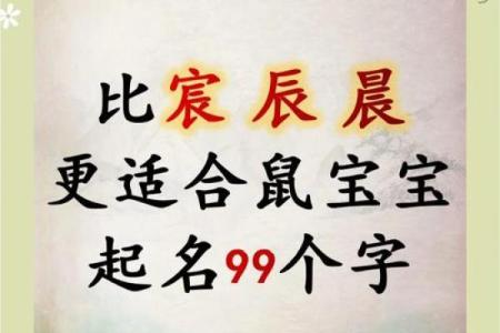 论如何取好属鼠申时出生男孩的名字姓名