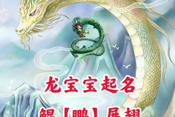 6月份出生的属龙男孩起什么名字好姓名