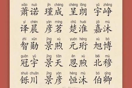 2019年6月27号寅时出生的男孩起名方法姓名