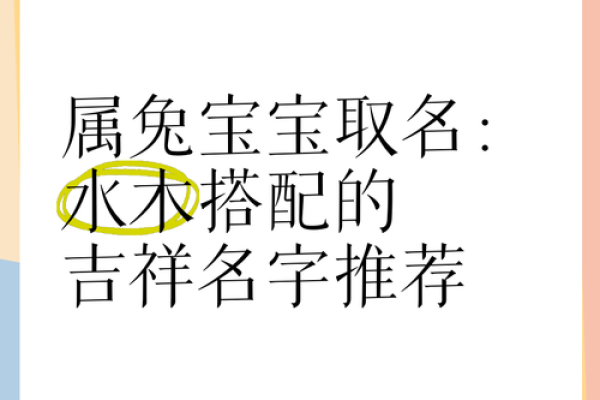 怎样给6月份出生的属兔男孩取名字姓名