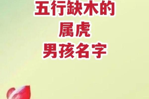 下午2点出生的属虎男孩起什么名，宜用什么字姓名