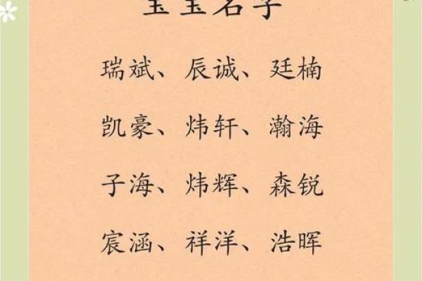 2019年4月27号丑时出生的男孩起名方法姓名