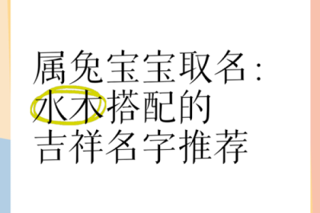 怎样给6月份出生的属兔男孩取名字姓名