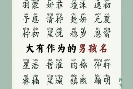 2019年3月18号酉时出生的男孩如何起名姓名