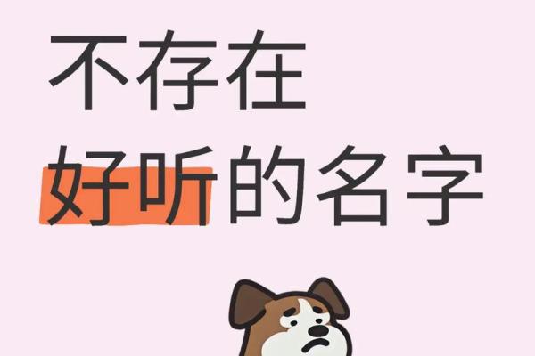 董姓女孩名字大全-董姓女孩起名字大全-董姓名字大全姓名 董姓女孩名字大全-董姓女孩起名字大全-董姓名字大全姓名