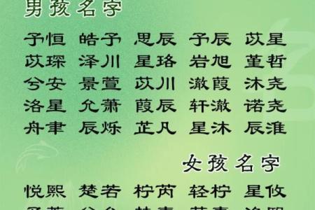 2019年3月25号辰时出生的男孩起名方法姓名