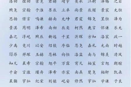 乐姓男孩名字大全-乐姓男孩起名字大全-乐姓名字大全姓名