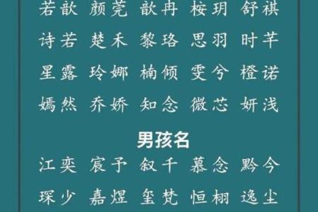 推荐给属兔未时出生的男孩起的名字姓名