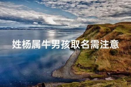什么字适合给中午12点出生的属牛男孩起名姓名