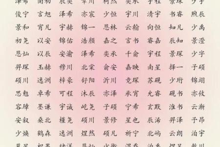 2019年3月27号巳时出生的男孩应该起什么样的名字姓名