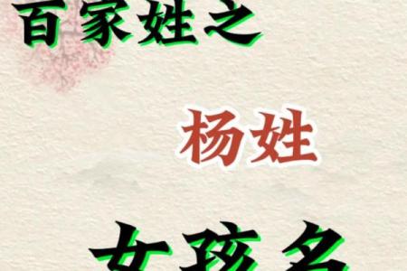 杨姓女孩名字大全-杨姓女孩起名字大全-杨姓名字大全姓名